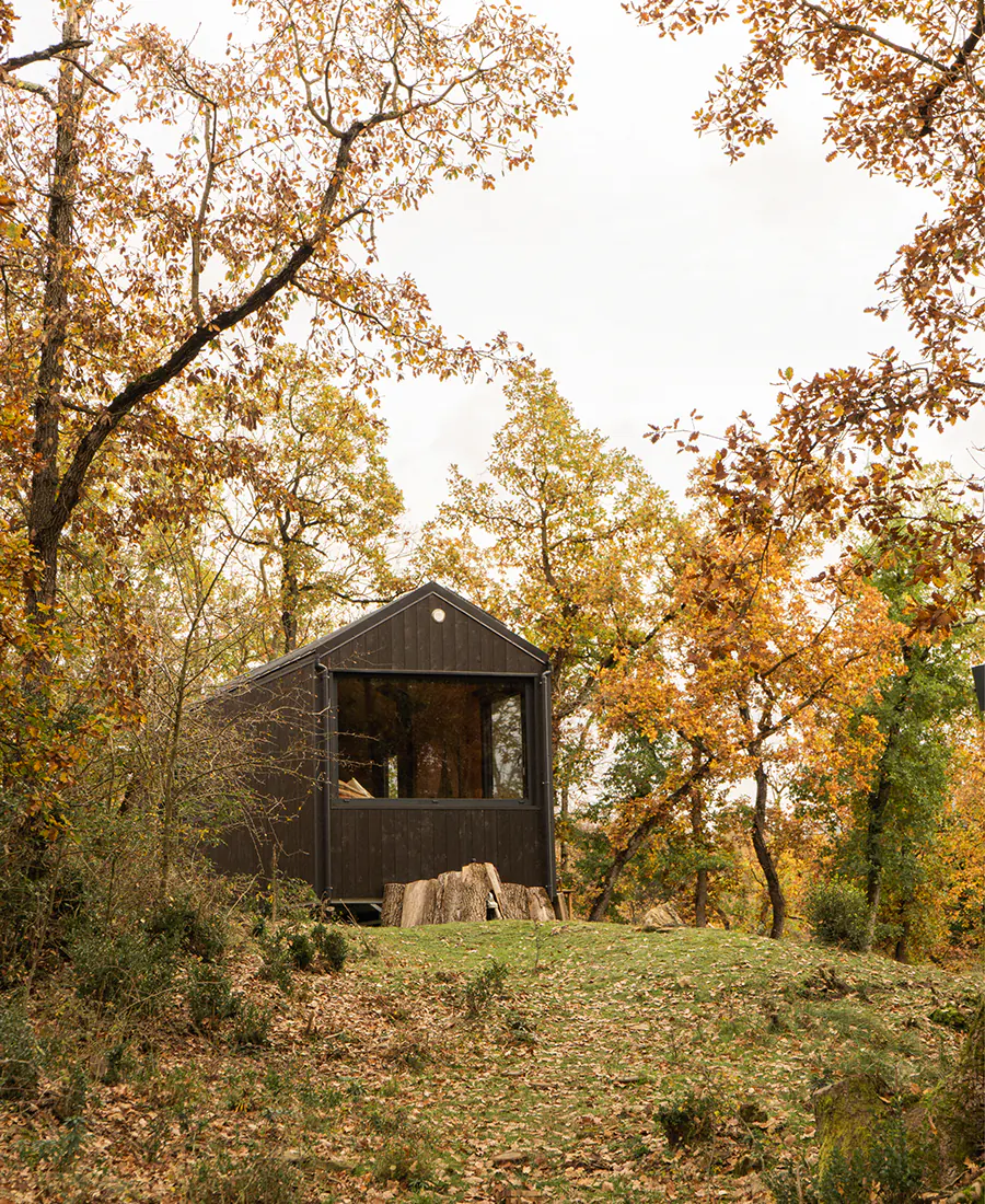 Studio Terra Agencia de Branding en Terrassa - Unplugged